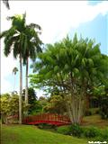 Jardín Botánico - SAN JUAN